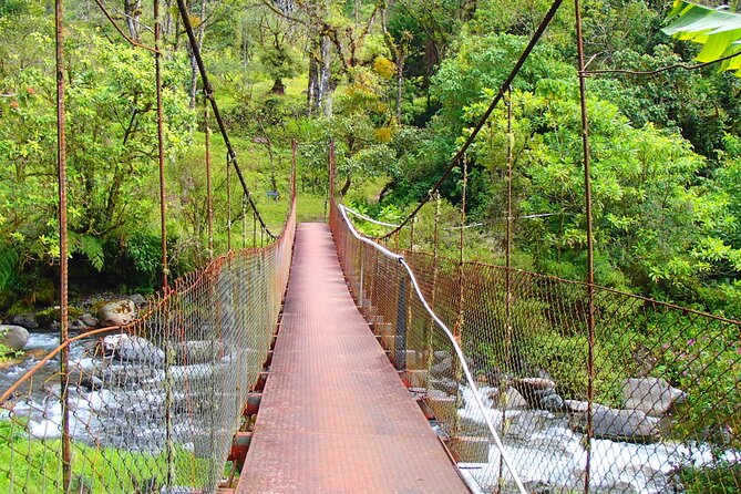 Cloud Forest Wildlife Hike 8:30am (Minimum of 2 People Required )