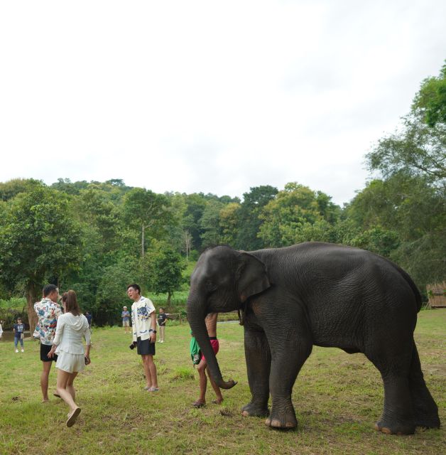 CM: Private Elephant Care, Rafting, Long Neck Karen&Ziplines