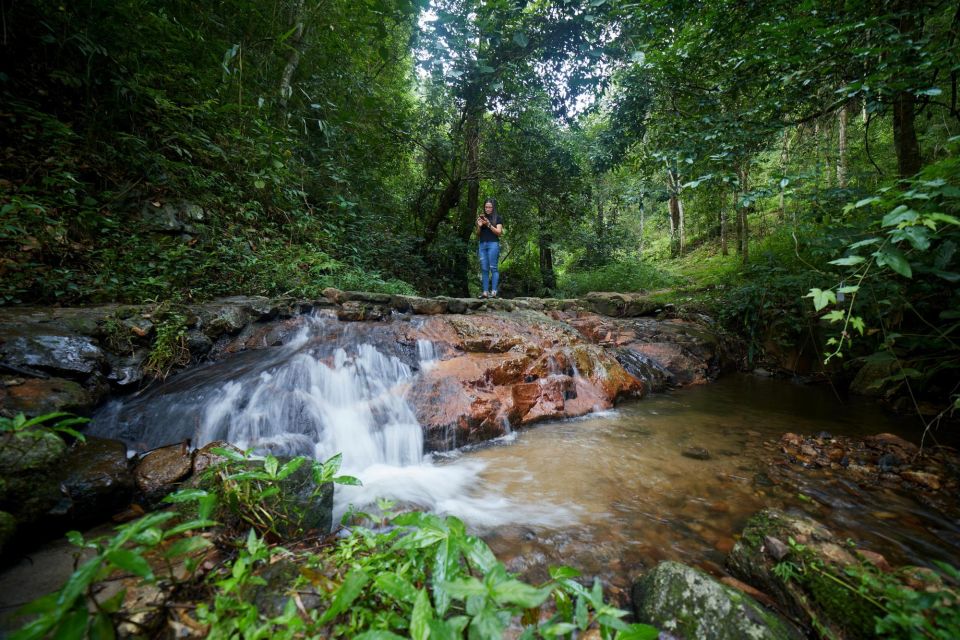 CNX: Trekking & Villager Living in Forest, Tea& Coffee Farm