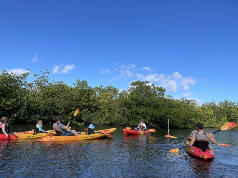 Cocoa Beach: Daytime Guided Kayak Eco-Tour