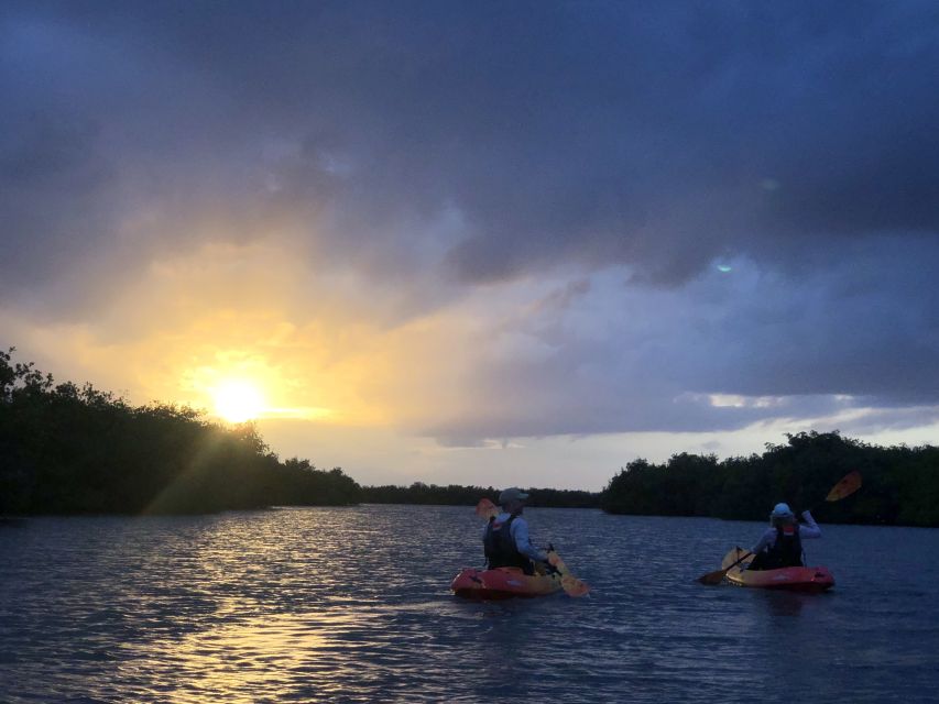 Cocoa Beach: Sunset Guided Kayak Tour - Experience Highlights