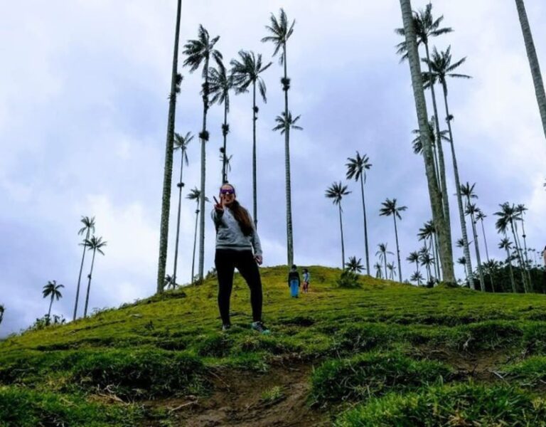 Cocora Valley and Salento Guided Hiking Tour