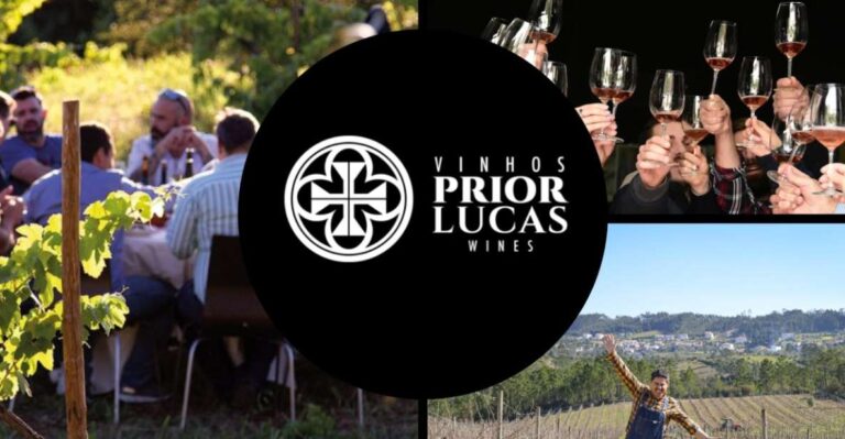 Coimbra: Prior Lucas Winery and Vineyard Visit With Tastings