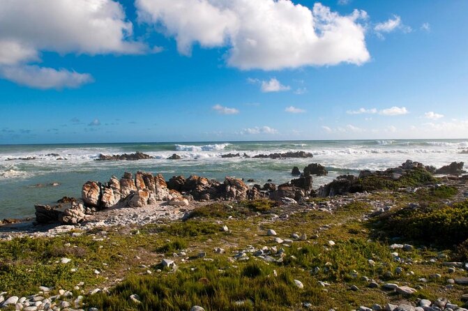 Combo Cape Agulhas Tour and Whales Watching Boat in Hermanus