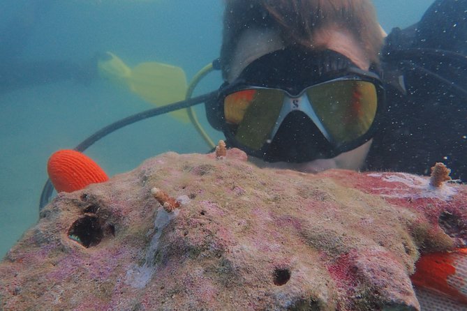 Coral Propagation Workshop- Koh Chang Full Day - Inclusions and Amenities