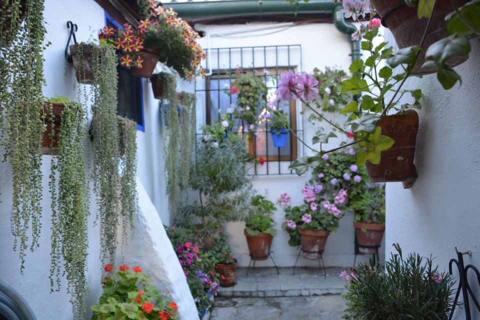 1 cordoba patios flowers private walking tour Cordoba: Patios & Flowers Private Walking Tour