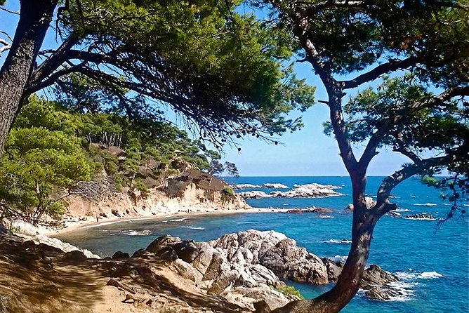 Costa Brava Small Group Hiking Tour From Barcelona