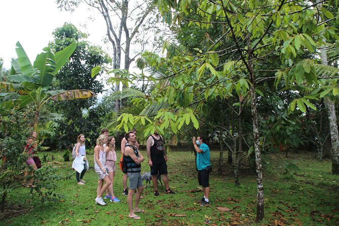 Costa Rica Descents Organic Farm