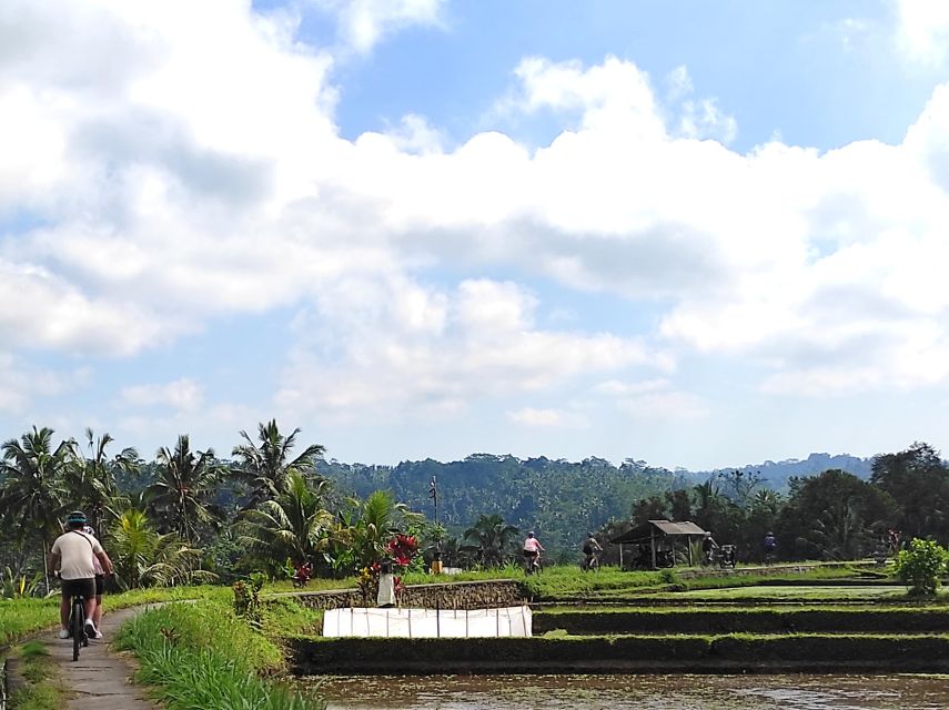 Country Side Electric Bike Tour