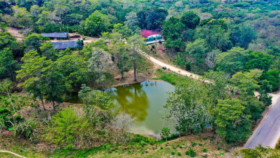 1 countryside horseback riding eco adventure near cartagena Countryside Horseback Riding Eco-Adventure Near Cartagena