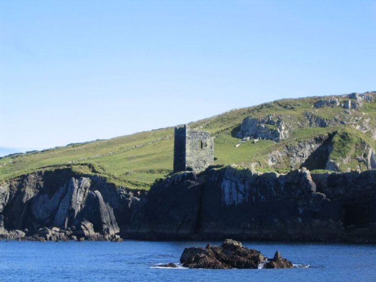 County Cork: Whale & Dolphin Watching Boat Trip