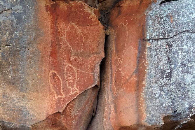 Cowan Creek Lunch Paddle With Aboriginal Rock Art