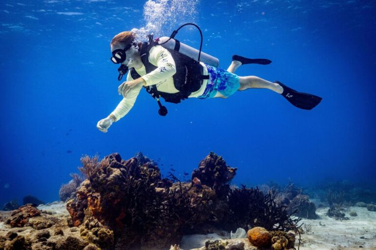 Cozumel: 1 Tank Certified Scuba Diving