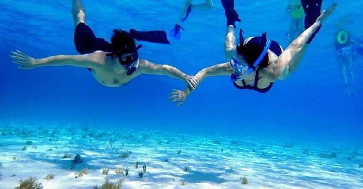 1 cozumel el cielo sandbar and reef snorkeling tour Cozumel El Cielo Sandbar and Reef Snorkeling Tour