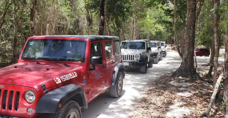 Cozumel: Private Jeep Tour Shore Excursion