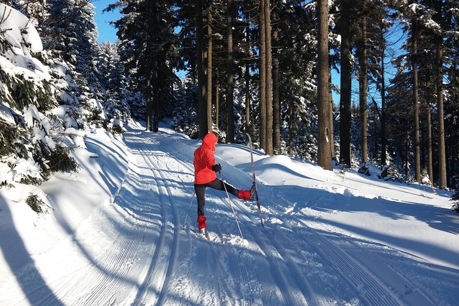 Cross-Country Skiing Guided Tour From Prague
