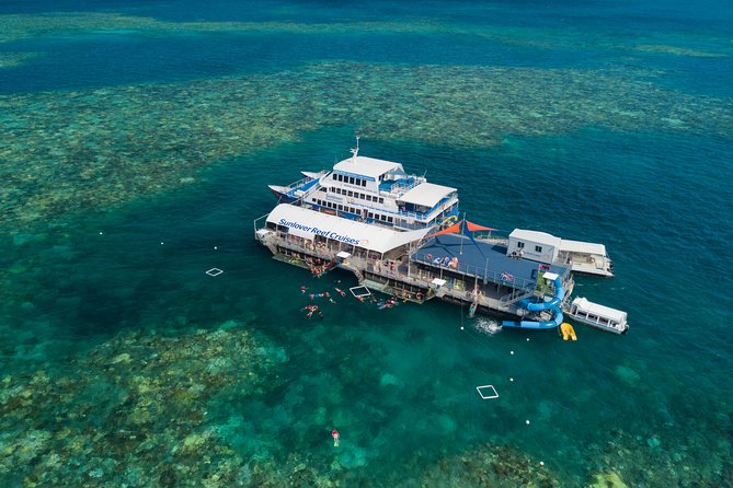 Cruise to Moore Reef Pontoon and Return Helicopter Flight From Cairns
