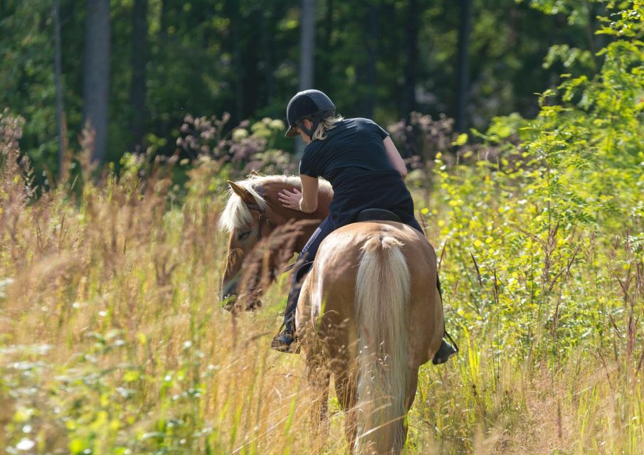 1 cruseilles horseback riding in the countryside Cruseilles: Horseback Riding in the Countryside