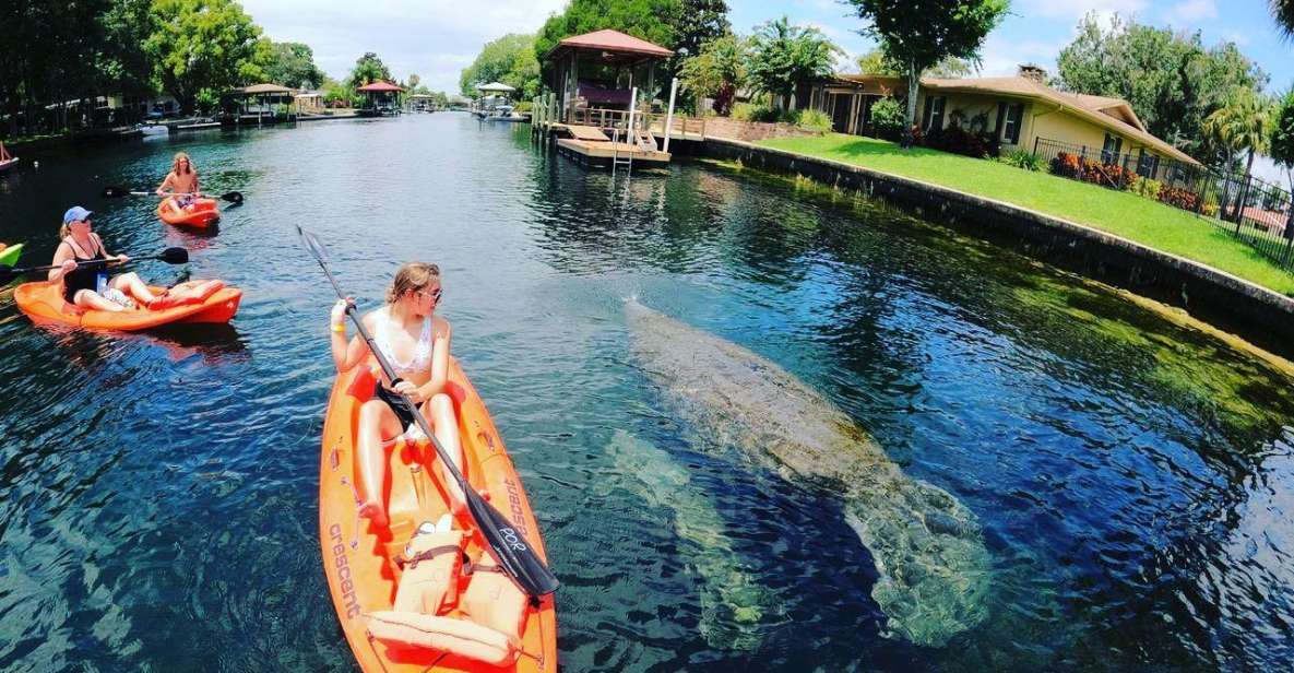 1 crystal river kayak rental Crystal River: Kayak Rental