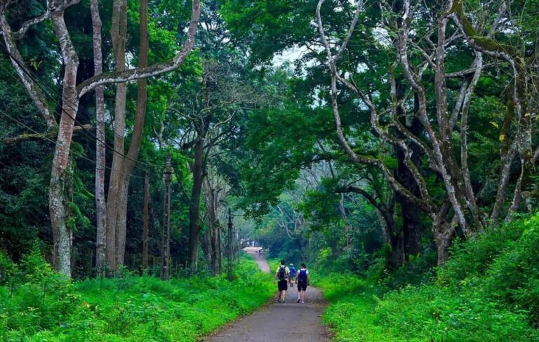 Cuc Phuong National Park 1 Day Trip