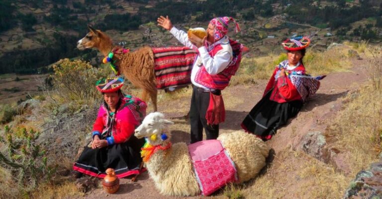 Cusco: Alpaca Therapy Healing With Clay – Lunch – Private
