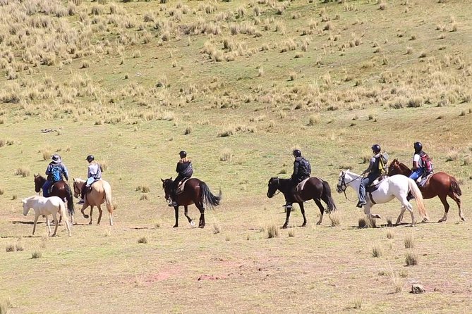 Cusco Day Tour Horse Riding Mystic Tour Full Service The Most Recommended - Inclusions