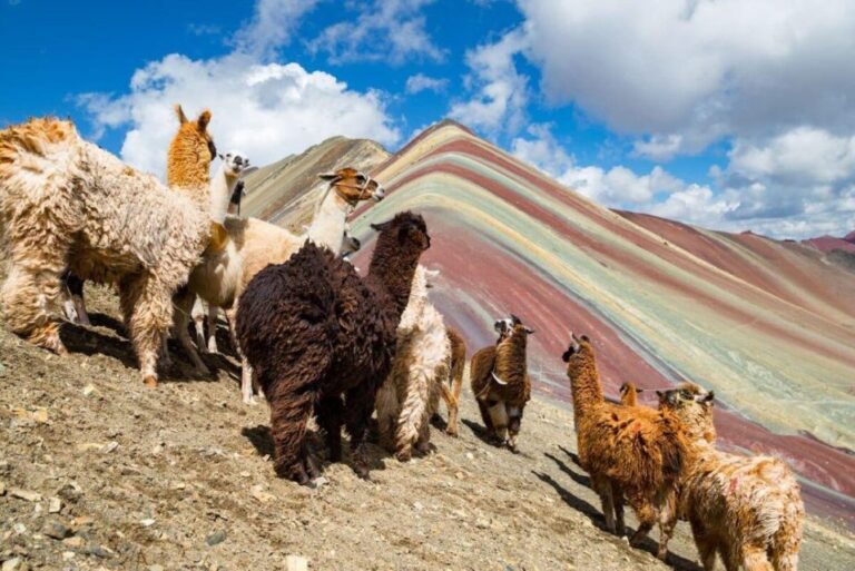 Cusco: Excursion to Rainbow Mountain Full Day
