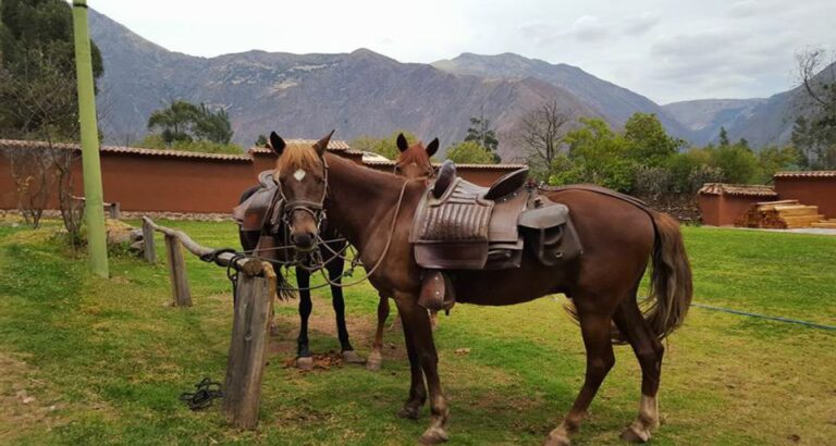 Cusco: Full-Day Horseback Riding Tour to Maras & Moray