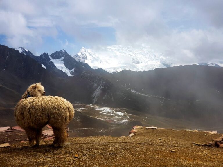 Cusco: Full-Day Tour to Rainbow Mountain