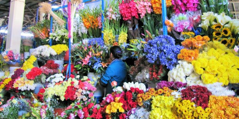 Cusco: Historical Walking Tour and Market Visit