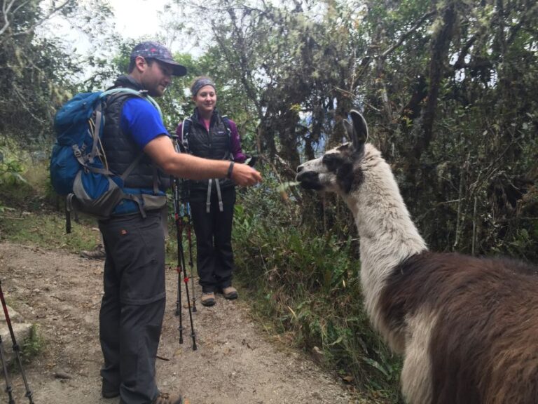 Cusco: Machu Picchu Inca Trail 4-Day Trek