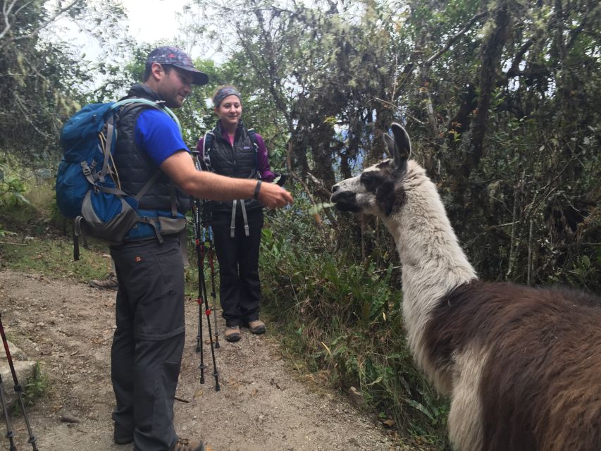 1 cusco machu picchu inca trail 4 day trek Cusco: Machu Picchu Inca Trail 4-Day Trek