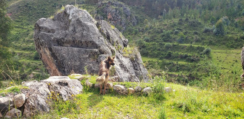 1 cusco sacsayhuaman guided tour and 1 hour horseback ride Cusco: Sacsayhuaman Guided Tour and 1-Hour Horseback Ride