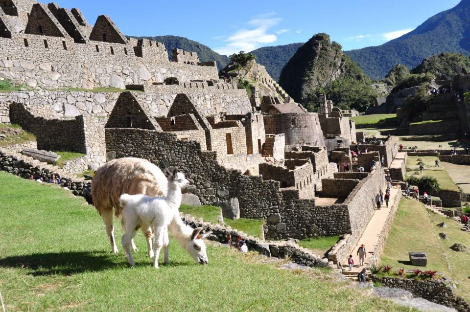 1 cusco to machu picchu day trip Cusco to Machu Picchu Day Trip