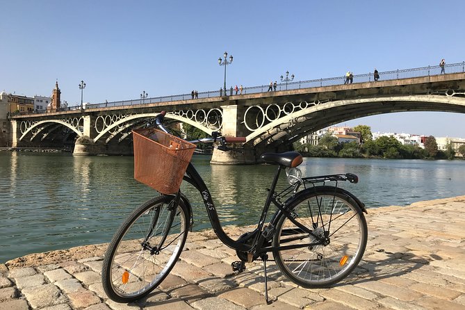 Daily Bike Tour in Seville