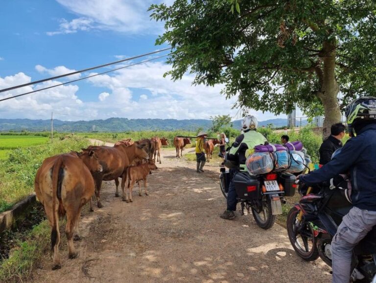 Dalat to Cat Tien National Park, Drop-Off Ho Chi Minh