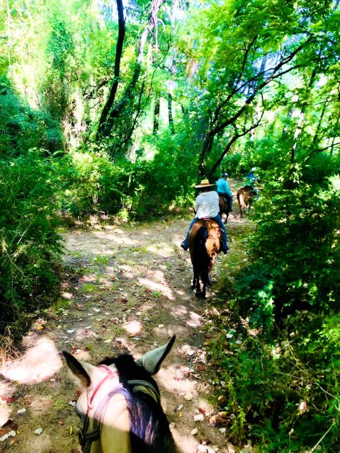 Dallas: Horseback Trail Riding Tour