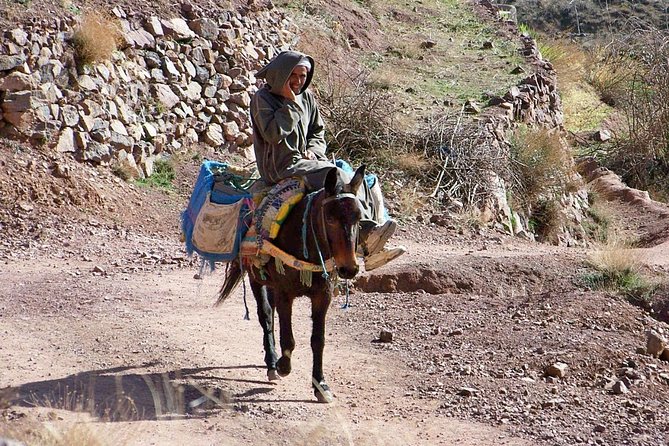 1 day tour in high atlas mountains Day Tour in High Atlas Mountains