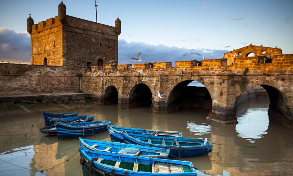 Day Trip From Marrakech To Essaouira - Transportation and Landscapes