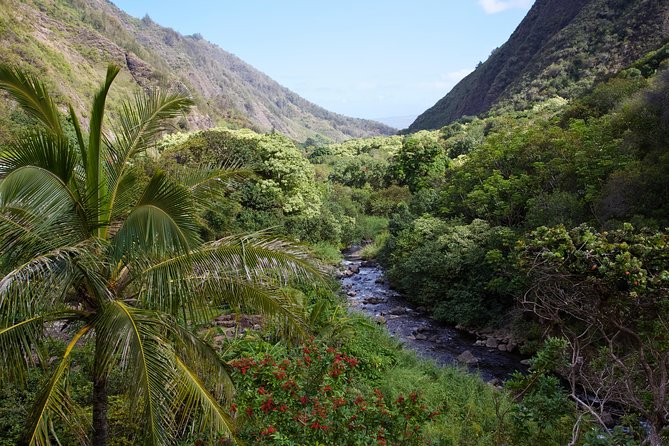 Day Trip Oahu to Maui Haleakala, Iao Valley & Central Maui