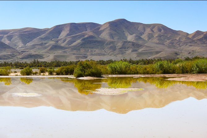 Day Trip Ouarzazate Zagora