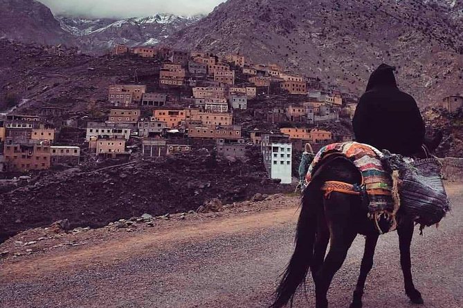 Day Trip to Atlas Mountains and 3 Valley & Berber Villages With Camel Ride