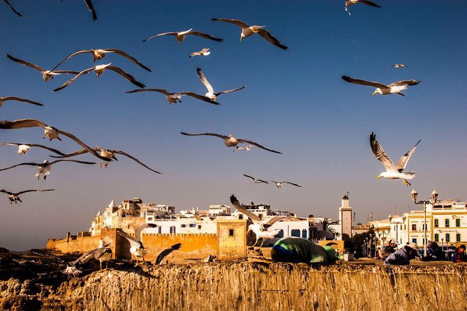 Day Trip to Essaouira From Marrakech