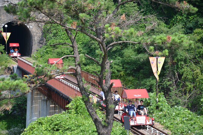 1 day trip to nami island with rail bike and the garden of morning calm Day Trip to Nami Island With Rail Bike and the Garden of Morning Calm