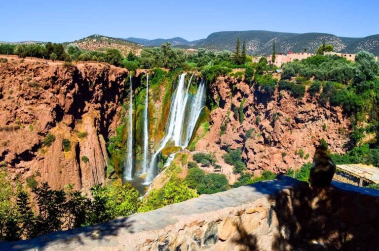 Day Trip to Ouzoud Waterfalls From Marrakech: Shared