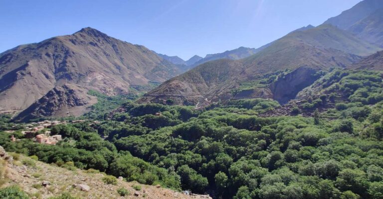 Day-Trip to the Atlas Mountains & Three Valleys, Camel Ride