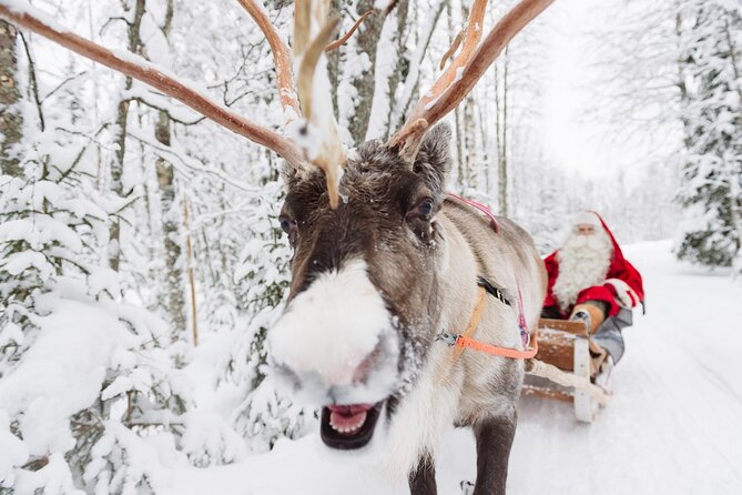 1 daytour to santa claus village reindeer and husky safaris photo and lunch Daytour to Santa Claus Village, Reindeer and Husky Safaris, Photo, and Lunch