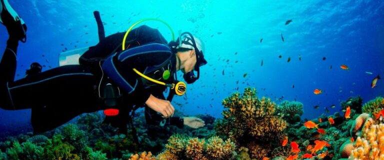 Deep Dive Discovery – Scuba Diving in Paracas