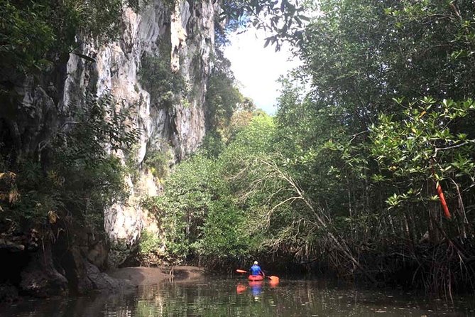 Deep Mangrove and Canyon Kayak Tour in Krabi