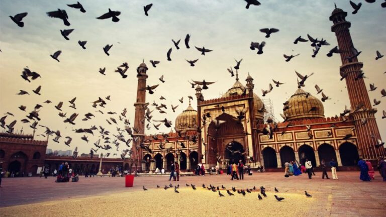 Delhi: Guided Full-Day City Sightseeing Tour
